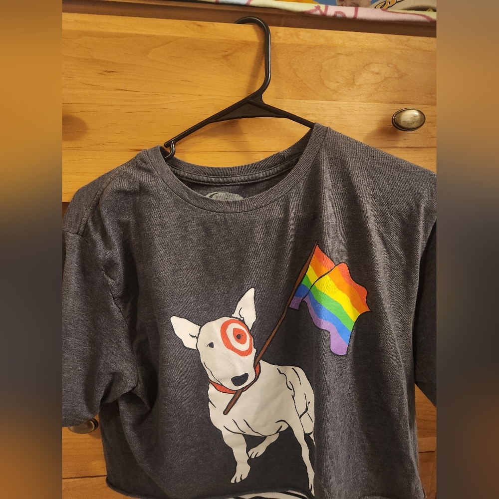 Pride Flag Crop Top